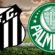 Campeonato Brasileiro: Santos x Palmeiras – 07/11